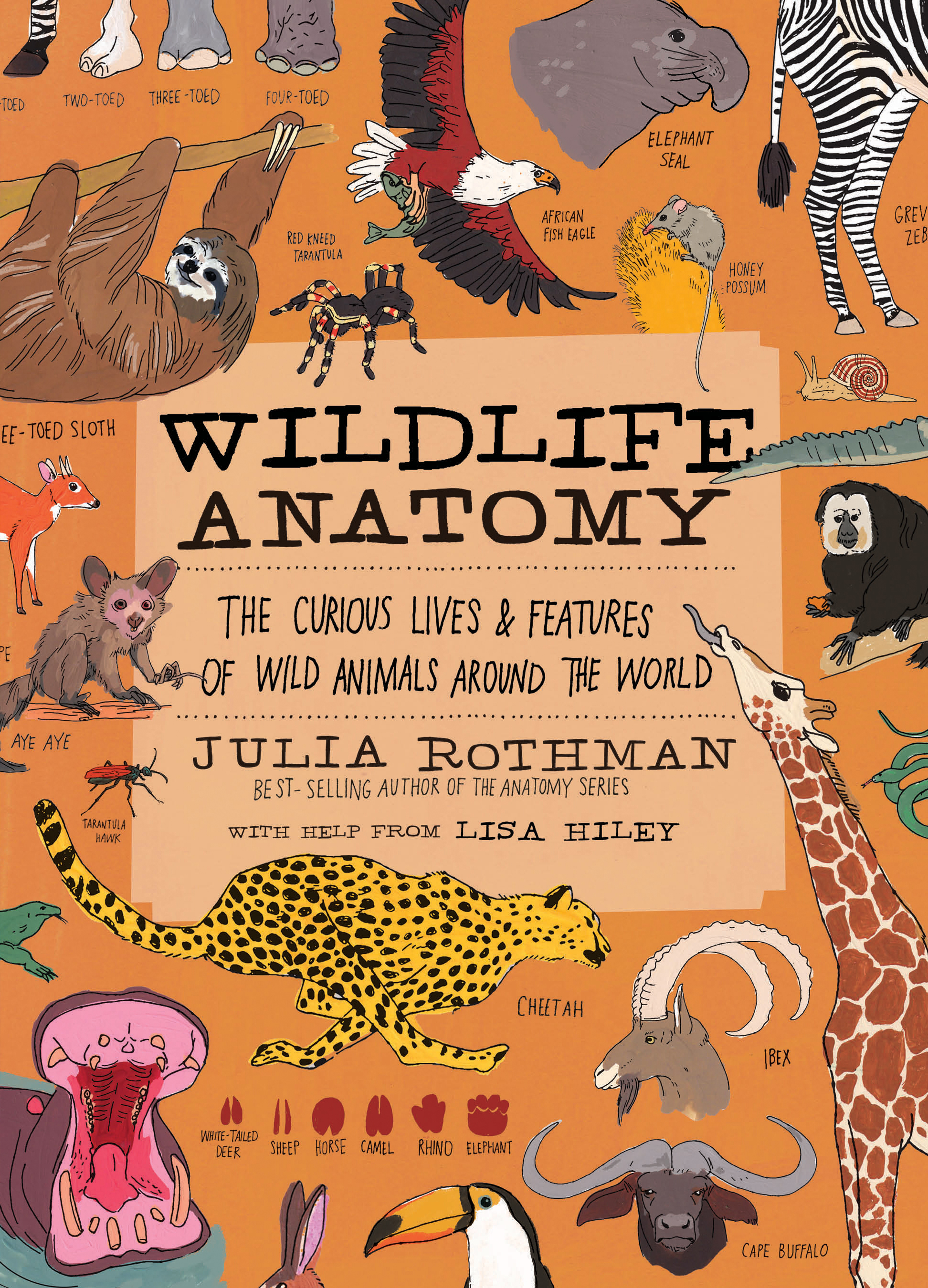 Hachette Library – Starred Reviews | Hachette Book Group