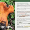 Mushrooms of the Pacific Northwest by Steve Trudell