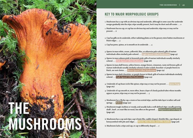 Mushrooms of the Pacific Northwest by Steve Trudell