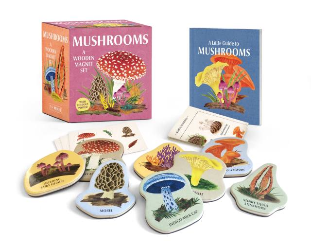 Mushrooms: A Wooden Magnet Set