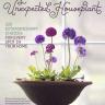 The Unexpected Houseplant, 220 Extraordinary Choices for Every Spot in Your Home By Tovah Martin