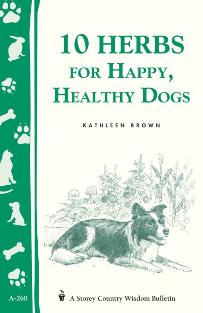 10 Herbs for Happy, Healthy Dogs