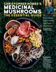 Christopher Hobbs's Medicinal Mushrooms: The Essential Guide