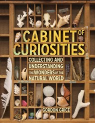 Cabinet of Curiosities