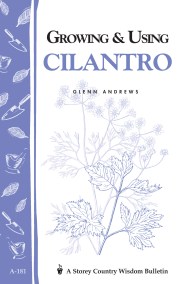 Growing & Using Cilantro