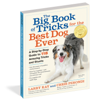 The Big Book of Tricks for the Best Dog Ever