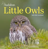 Audubon Little Owls Mini Wall Calendar 2025