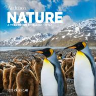 Audubon Nature Wall Calendar 2025