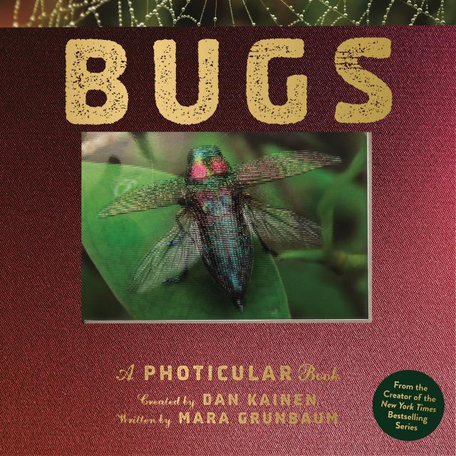 Bugs By Dan Kainen
