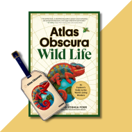 Atlas Obscura: Wild Life Gift Set