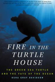 Fire In The Turtle House