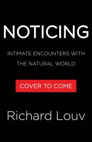 Noticing
