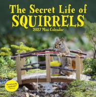 Secret Life of Squirrels Mini Calendar 2027