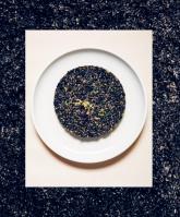 Estela (Limited Edition)