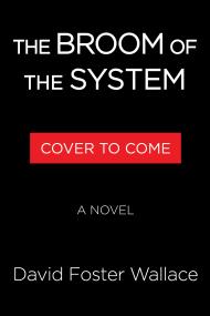 The Broom of the System