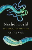 Netherworld
