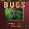 Bugs By Dan Kainen