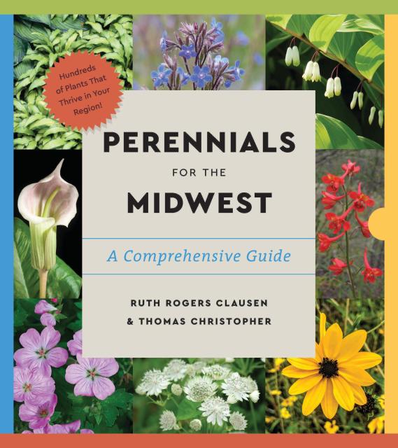 Perennials for the Midwest
