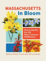 Massachusetts in Bloom